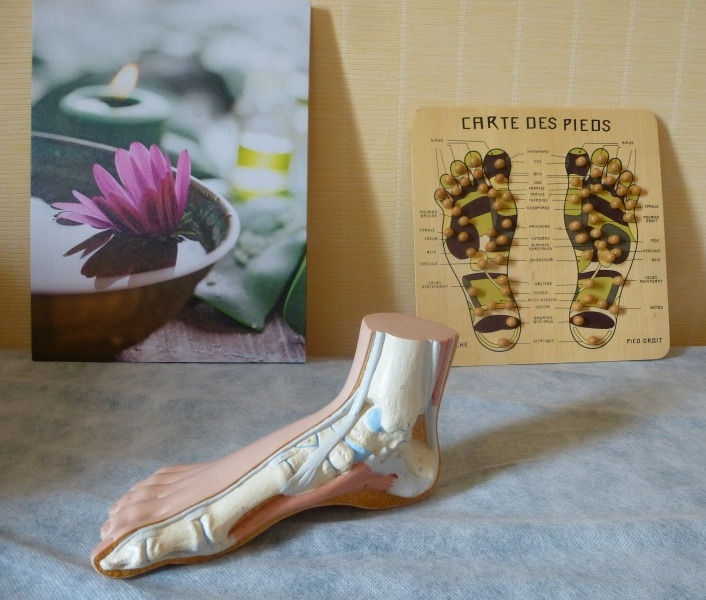Cartographie des pieds