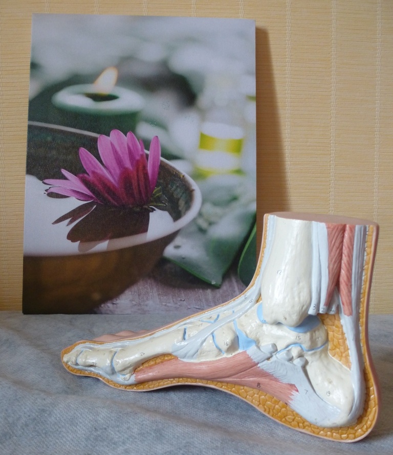Vue intérieure du pied